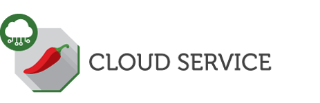 CLOUDSERVICE